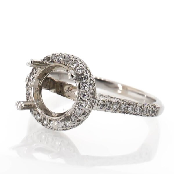 Halo Ring Mounting