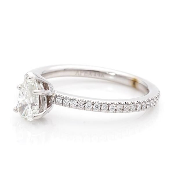 Fancy Shape Accented Ring
