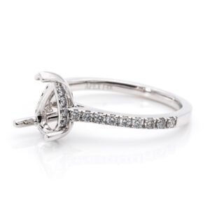 Diamond Shank Hidden Halo Ring Mounting