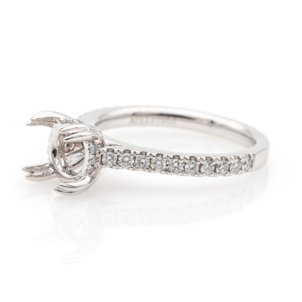 Diamond Shank Hidden Halo Ring Mounting