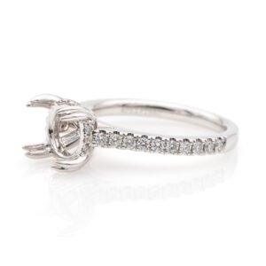 Diamond Shank Hidden Halo Ring Mounting
