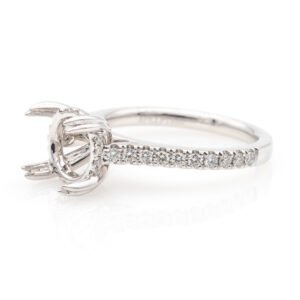 Diamond Shank Hidden Halo Ring Mounting