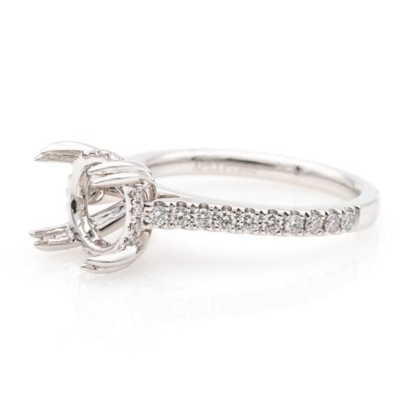 Diamond Shank Hidden Halo Ring Mounting