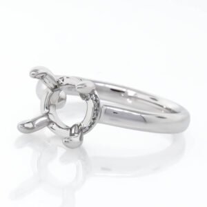 Hidden Halo Ring Mounting