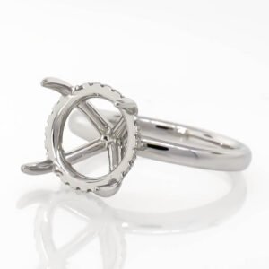 Hidden Halo Ring Mounting