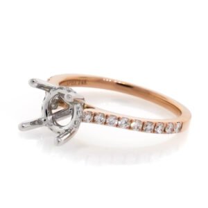 Diamond Shank Hidden Halo Ring Mounting
