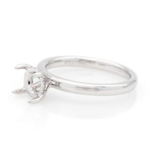 Hidden Halo Ring Mounting