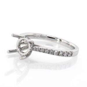 Diamond Shank Hidden Halo Ring Mounting