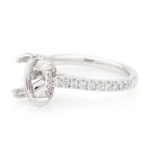 Diamond Shank Hidden Halo Ring Mounting