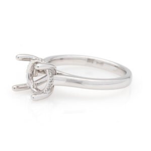 Hidden Halo Ring Mounting