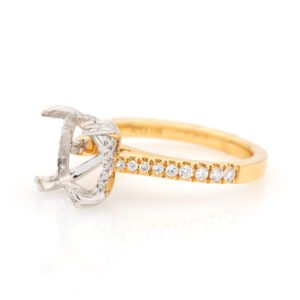 Diamond Shank Hidden Halo Ring Mounting