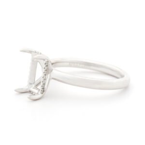 Fancy Shape Hidden Halo Ring Mounting