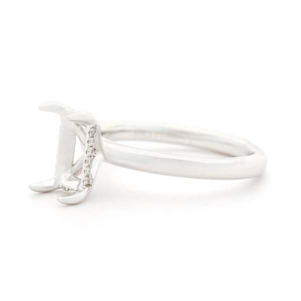 Fancy Shape Hidden Halo Ring Mounting