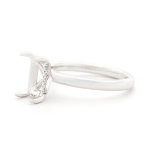 Fancy Shape Hidden Halo Ring Mounting