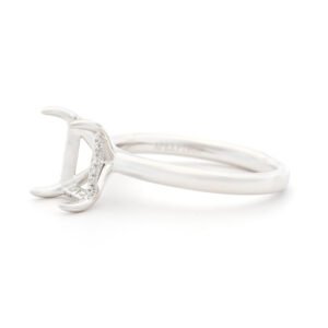 Fancy Shape Hidden Halo Ring Mounting
