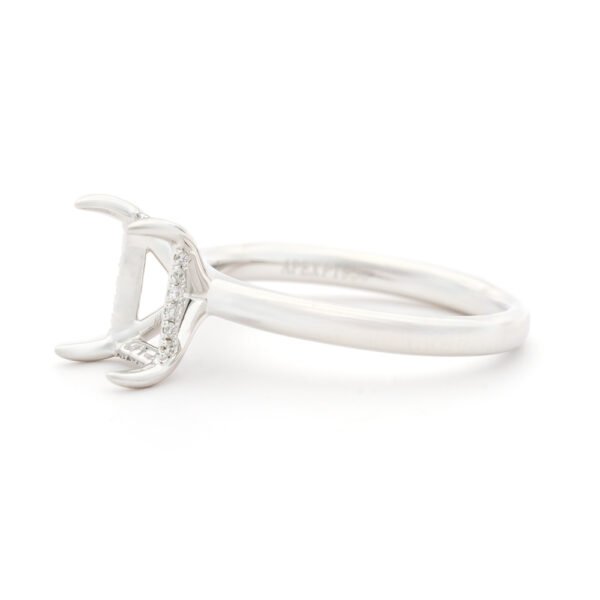 Fancy Shape Hidden Halo Ring Mounting