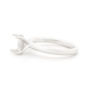Fancy Shape Hidden Halo Ring Mounting