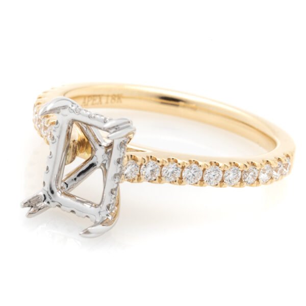 Two-Tone Hidden Halo Ring Mounting
