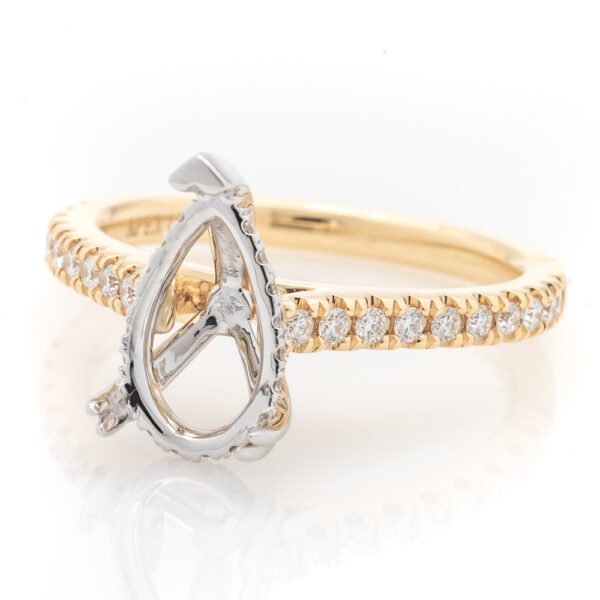 Two-Tone Hidden Halo Ring Mounting