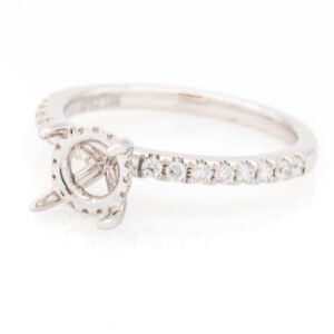 Diamond Shank Hidden Halo Ring Mounting
