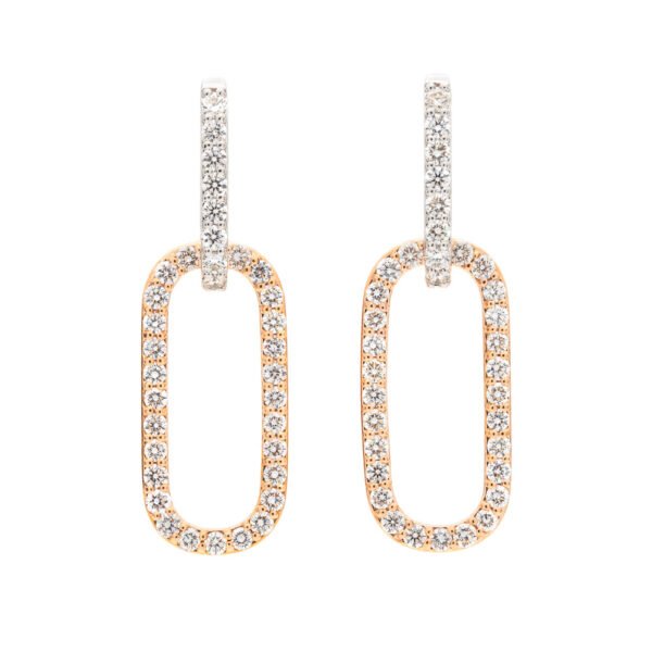 Two-Tone Dangle Earrings