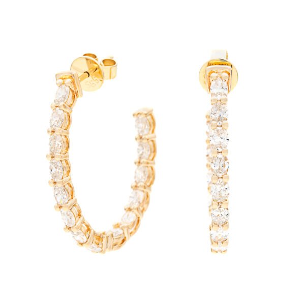 Fancy Shape Hoop Earrings