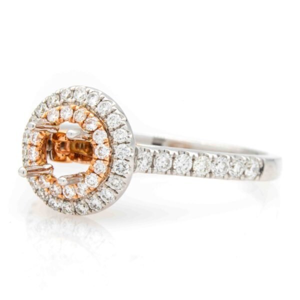 Two-Tone Double Halo Ring Mounting