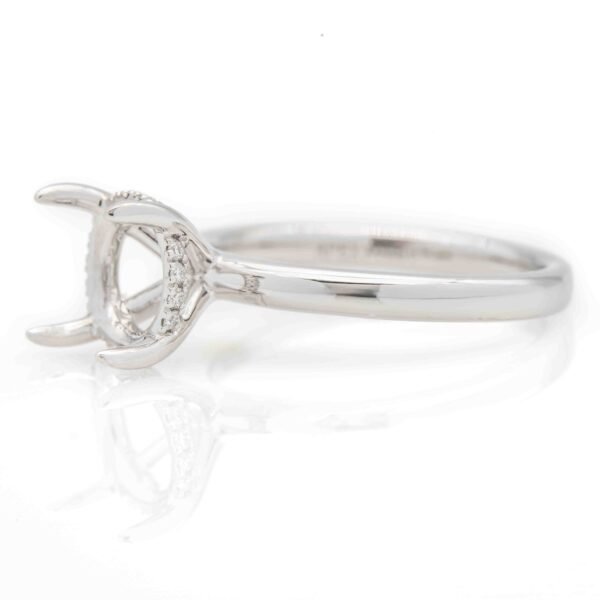 Hidden Halo Ring Mounting