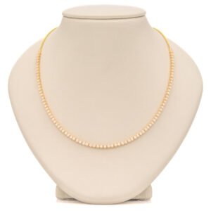 Choker Fashion Necklace