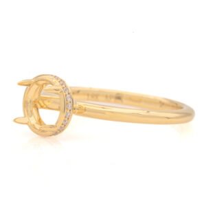 Hidden Halo Ring Mounting