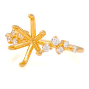 Fancy Shape Accented Ring Mounting
