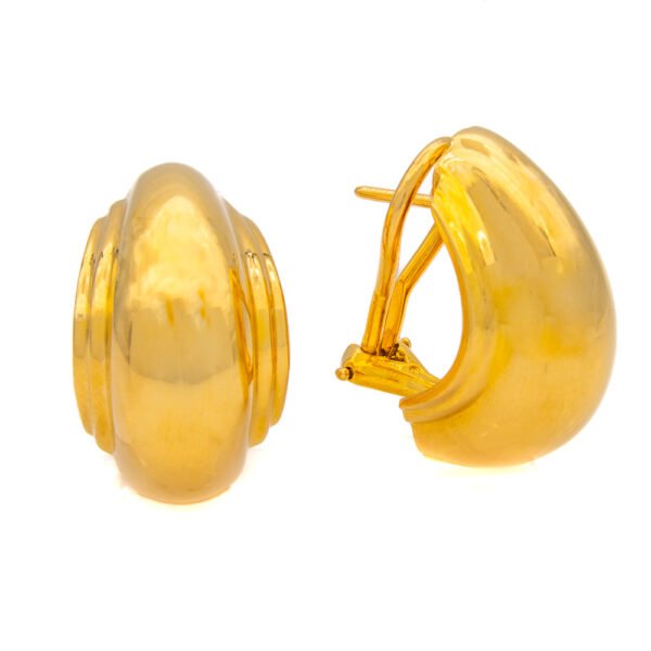 Designer Fashion Earrings