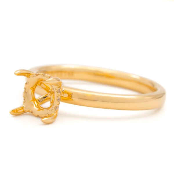 Hidden Halo Ring Mounting