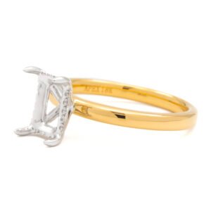 Two-Tone Hidden Halo Ring Mounting
