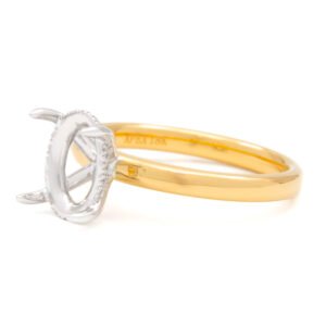 Two-Tone Hidden Halo Ring Mounting