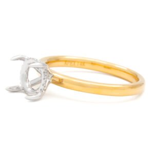 Two-Tone Hidden Halo Ring Mounting