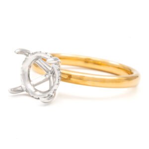 Two-Tone Hidden Halo Ring Mounting