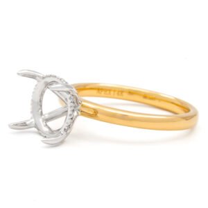 Two-Tone Hidden Halo Ring Mounting