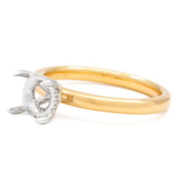 Two-Tone Hidden Halo Ring Mounting