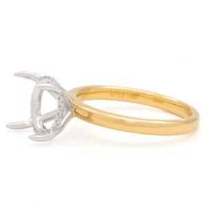 Two-Tone Hidden Halo Ring Mounting