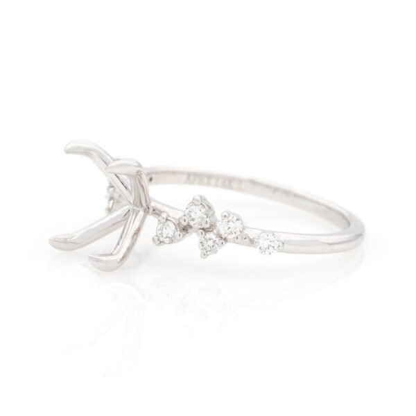 Accented Ring
