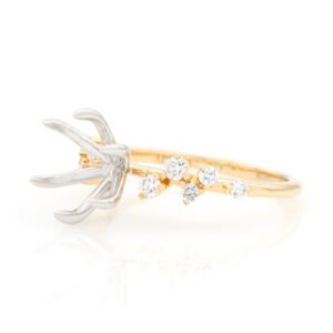 Round Accented Ring Mounting