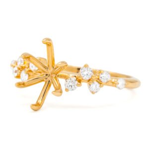 Fancy Shape Accented Ring Mounting