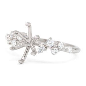 Fancy Shape Accented Ring Mounting